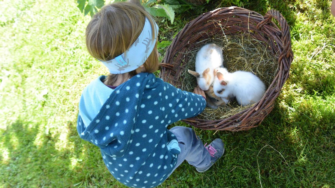 Unsere kleinen Hasen Unsere kleinen Hasen